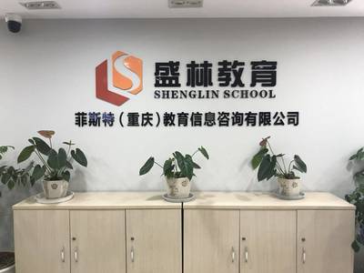 盛林教育暑假班 點(diǎn)燃智慧火花，成就未來(lái)之星